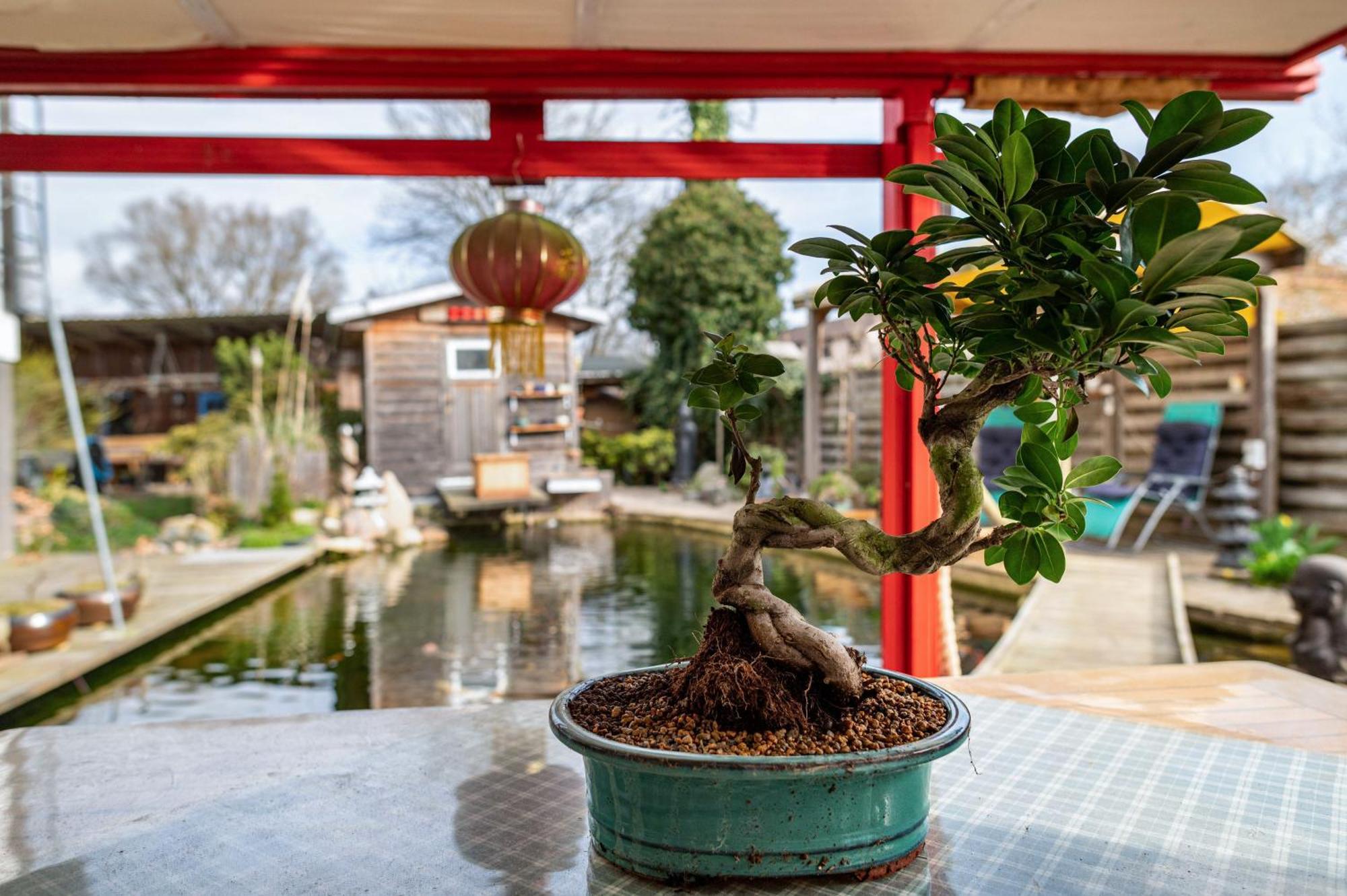Am Teich Appartement Bützow Buitenkant foto