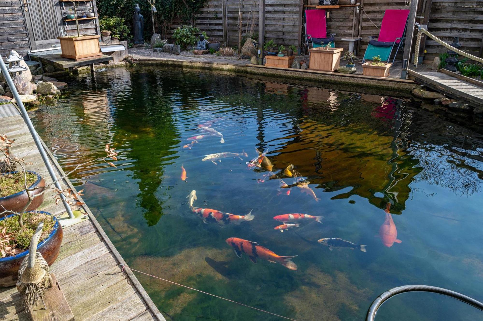 Am Teich Appartement Bützow Buitenkant foto